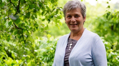 Terugbuigen na de storm